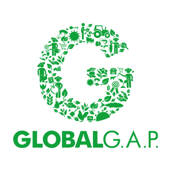 gap logo