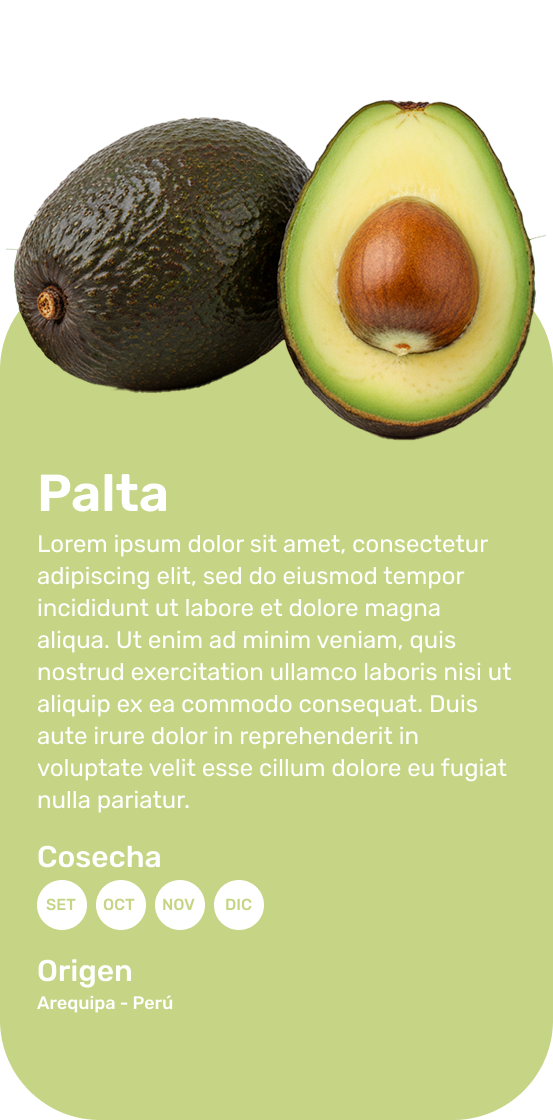 Palta